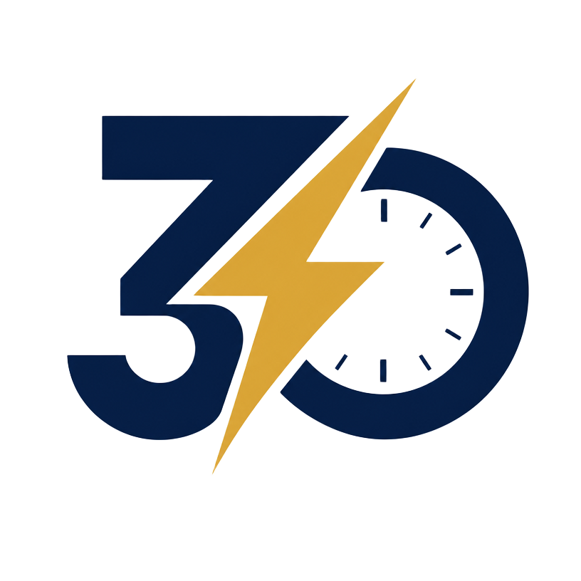 Website in 30 Mins logo